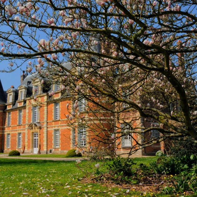 Chateau Miromesnil Yann Pelcat 8