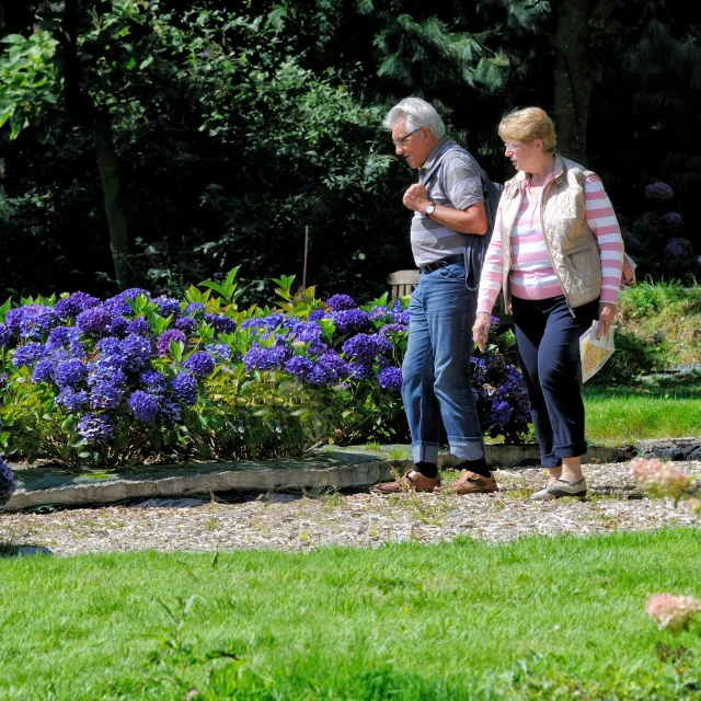 Collection Shamrock Varengeville Yann Pelcat 6