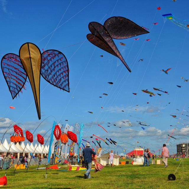 Festival Cerfs Volants Dieppe Yann Pelcat 35