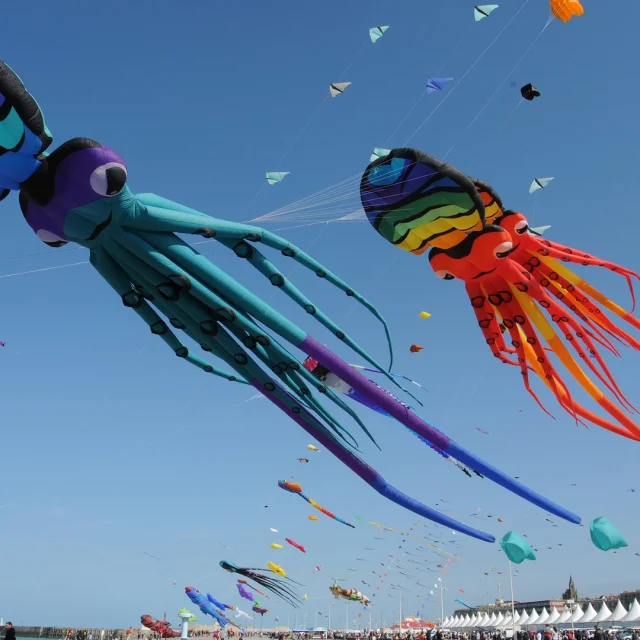 Festival Cerfs Volants Dieppe Yann Pelcat 58