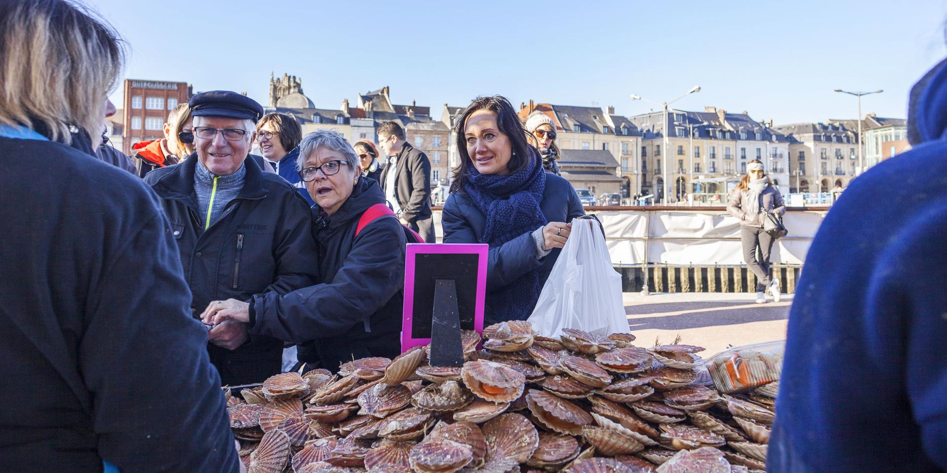 La coquille SaintJacques DieppeNormandie Tourisme, site officiel de