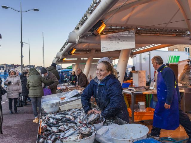 Une jeune femme souriante les mains dans une bassine pleine de harengs sur un étal du marché aux poissons de Dieppe