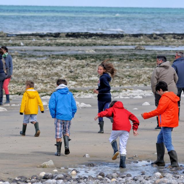 Groupe de personne sur la plage et visitant le littoral