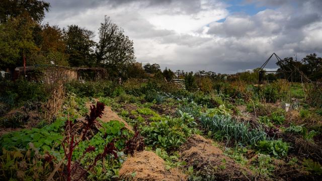 Vue de la permaculture Nouvelles Elégances