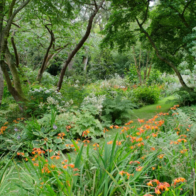 Vasterival Ete Didier Willery 2