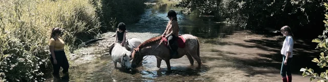 Une balade cheval à travers une rivière dans un cadre verdoyant et bucolique