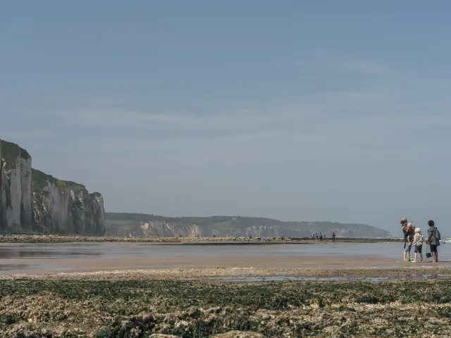 3 personnes font de la pêche à pied sur la plage de Dieppe, avec les falaises en arrière-plan