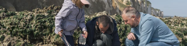 Un papa, sa fille et un guide font de la pêche à pied sur la plage de Dieppe et observe de près la faune dans une petite mare de sable