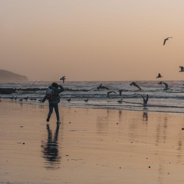 Enfant et goélands au coucher de soleil sur la plage de Dieppe