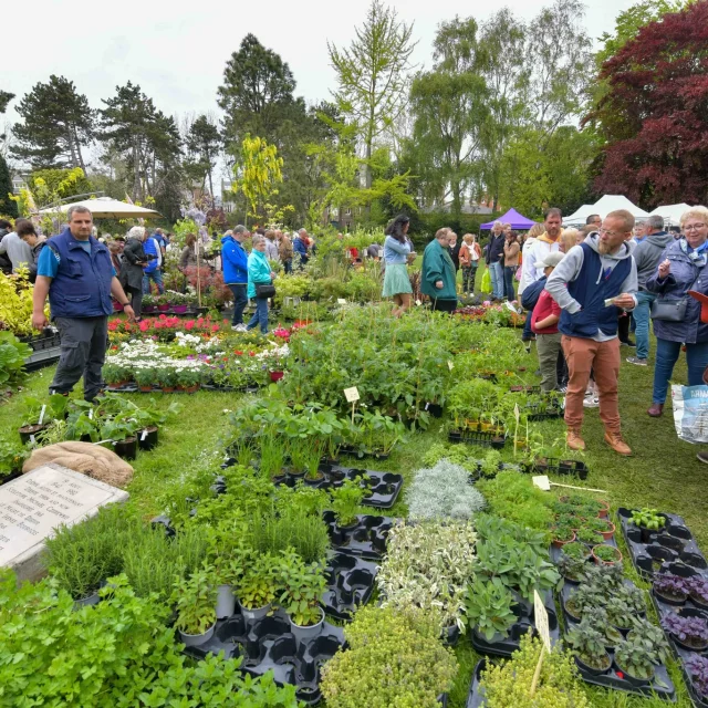 De nombreuses plantes exposées dans un parc à l'occasion d'un marché aux fleurs avec de nombreux visiteurs