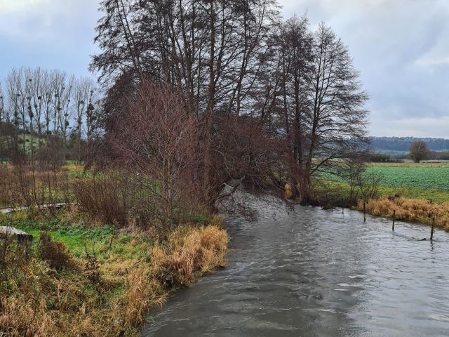 Une rivière dans un paysage de campagne hivernale