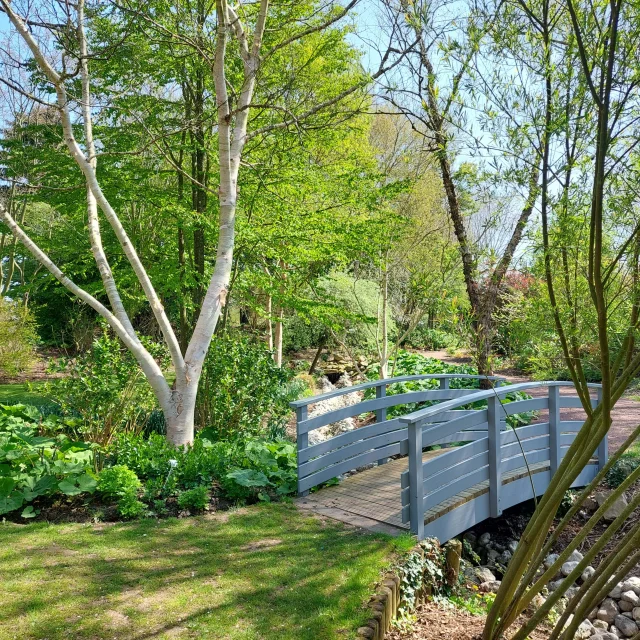 Petit pont entouré d'arbres et de plantes sous un beau ciel bleu