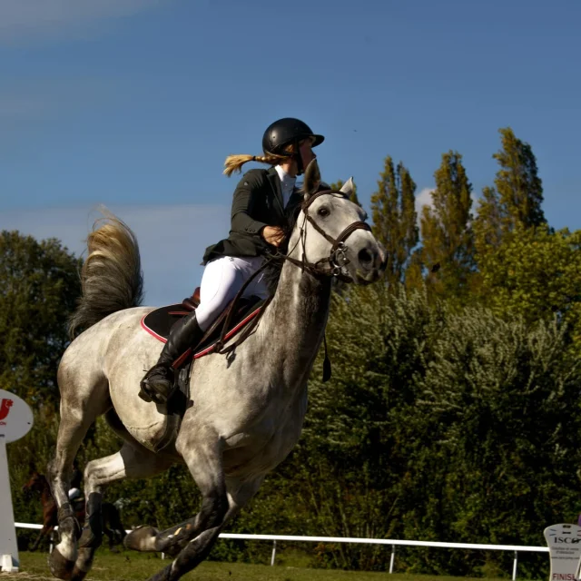 Concours Equitation Obstacle Deep Jumping