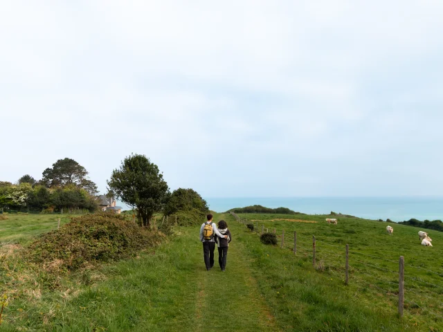 Deux randonneurs marchent enlacés sur un sentier herbeux surplombant la mer, entourés de vaches et de prairies.