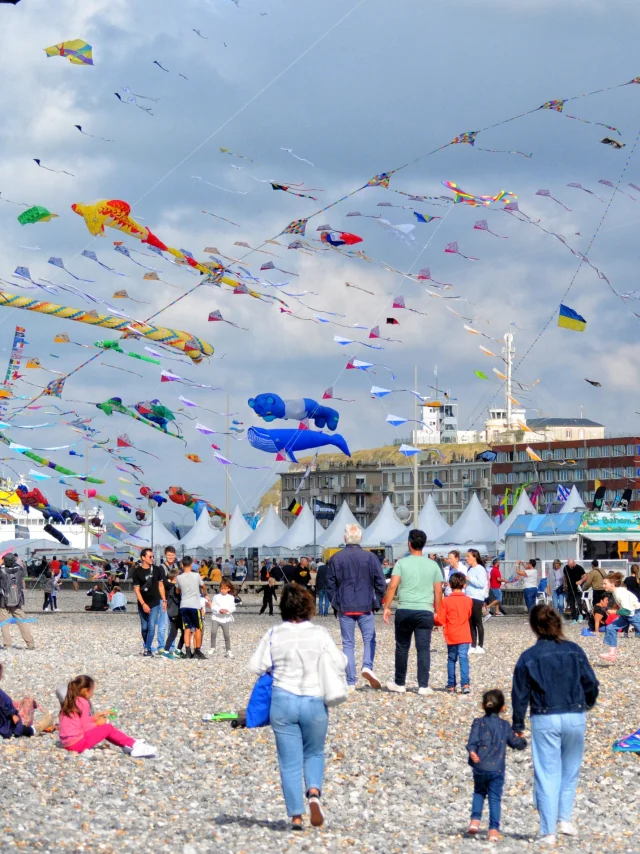 Vue Densemble Festival Cv 2022 Yann Pelcat 6 Min