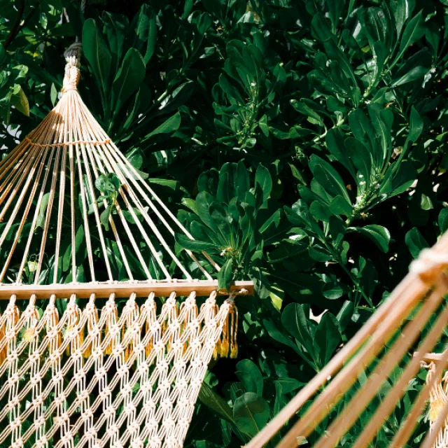 Hamac Illustration Eco Responsable