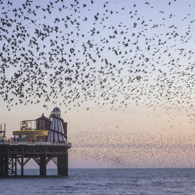 Stare über dem Brighton Palace Pier – Visitbrighton, James Ratchford