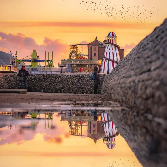 Brighton Palace Pier au coucher du soleil, avec ses attractions reflétées dans une flaque d’eau et un vol d’oiseaux dans le ciel.
