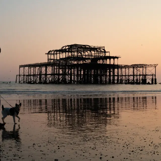 Promeneuse avec son chien sur la plage de Brighton au coucher du soleil, devant la silhouette de l’ancienne jetée West Pier.