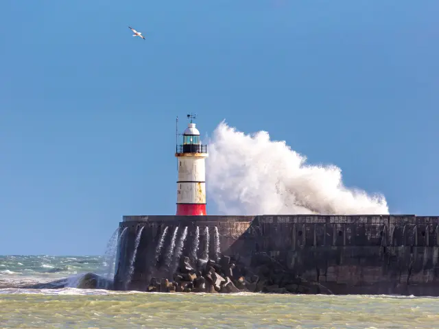 Leuchtturm von Newhaven, Foto: Nigel French 1