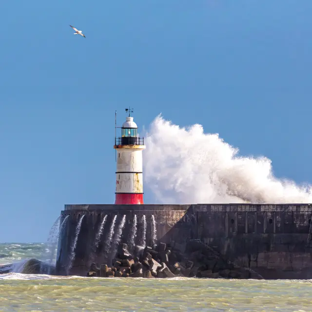 Leuchtturm von Newhaven, Foto: Nigel French 1